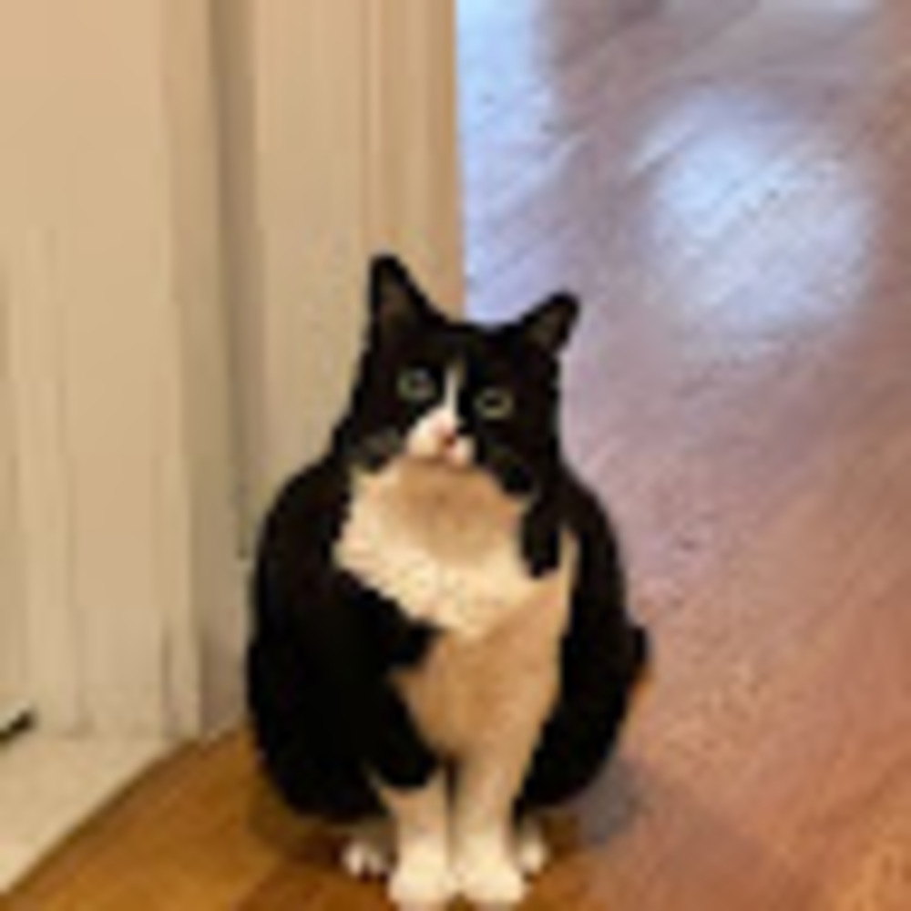 Meet your Posher, Bessie